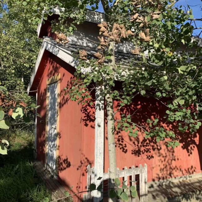 Red shed before painting