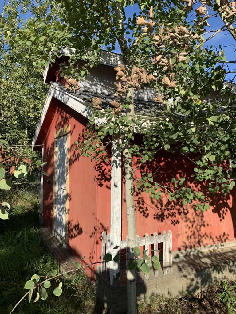 Red shed before painting